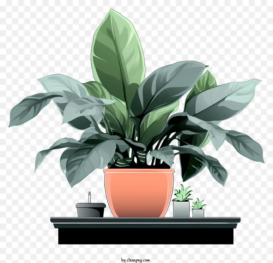 Vasos De Plantas，Plantas De Mesa PNG