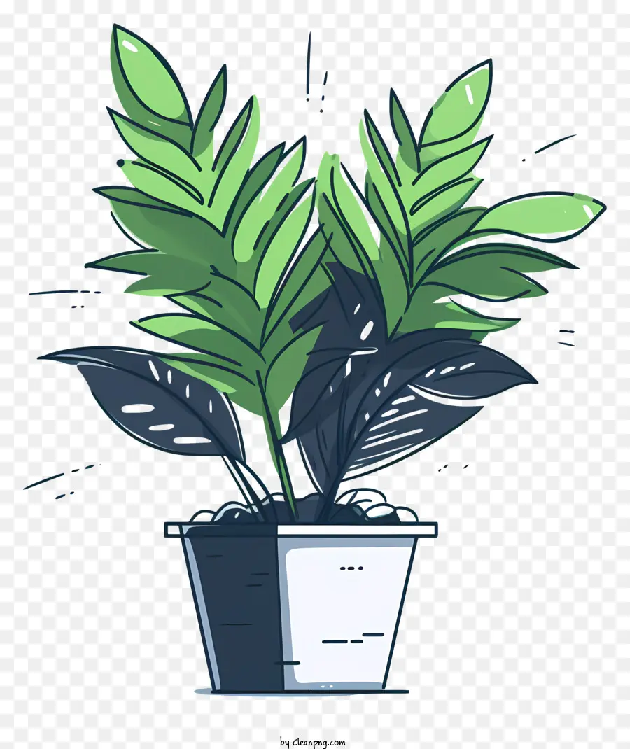 Planta Em Vaso，Planta Verde Frondosa PNG