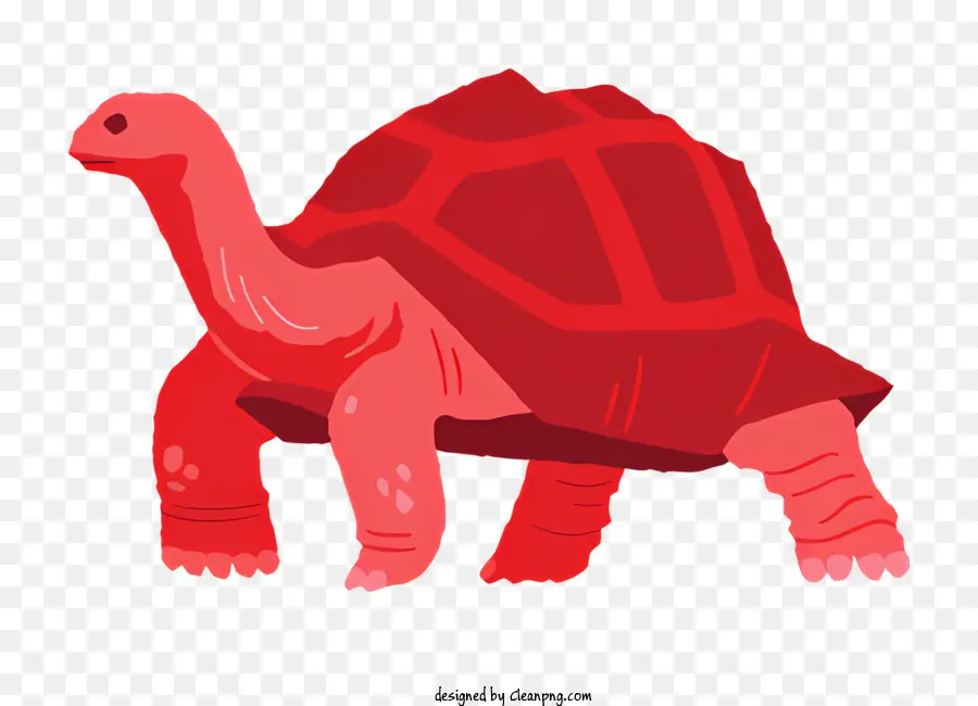 Tartaruga Vermelha，Turtle PNG