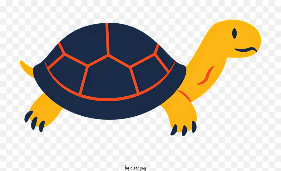 Turtle，Curta Tartaruga PNG