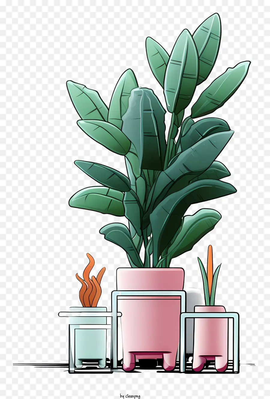 Vasos De Plantas，Suculentas PNG