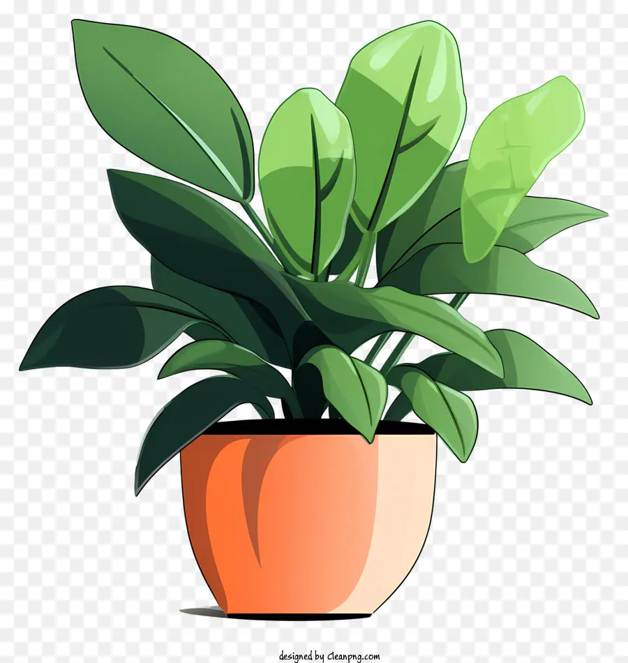 Planta Em Vaso，Planta De Folha Verde PNG