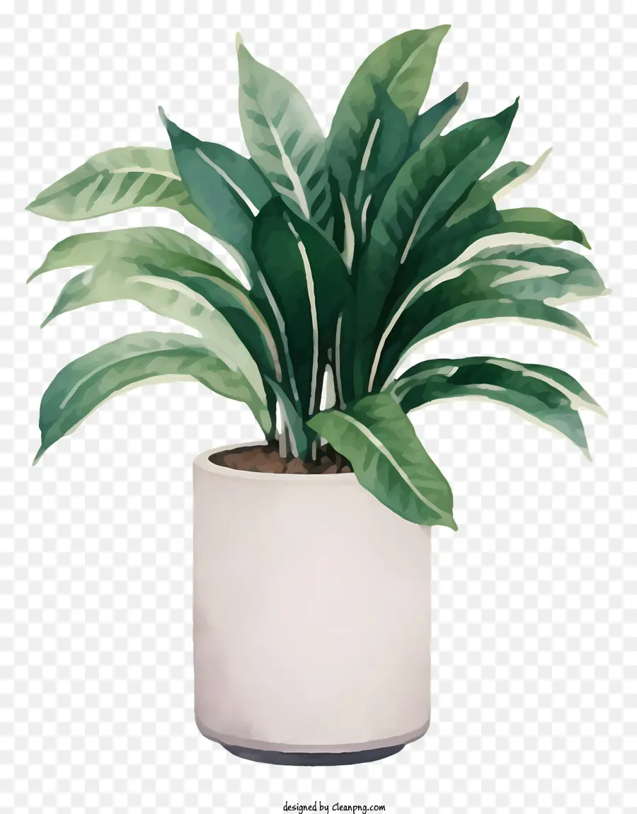 Vaso De Cerâmica Branca，Planta Verde PNG