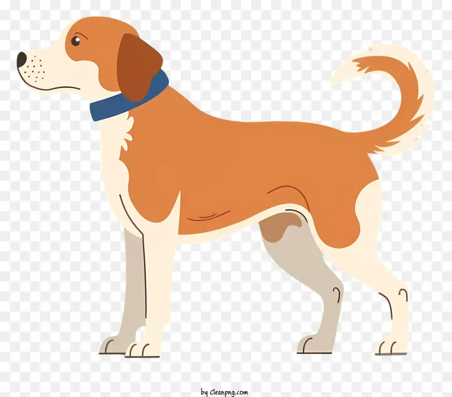 Cão Dos Desenhos Animados，Casaco Marrom E Branco PNG