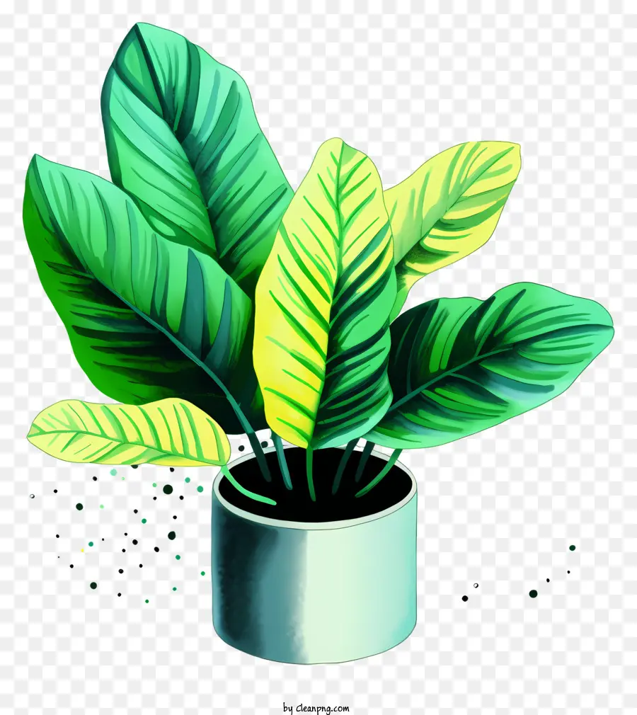 Planta De Vaso，Folha Verde PNG