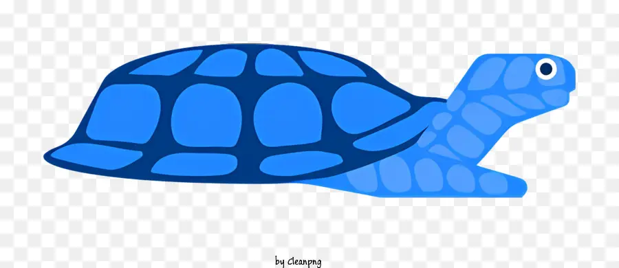 Tartaruga Azul，Tartaruga Deitada PNG
