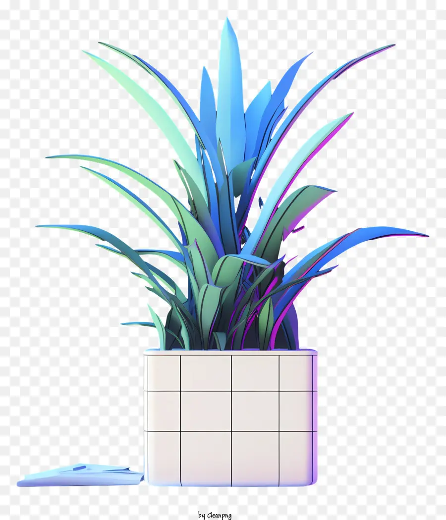 Planta Em Plantador，Plantador Quadrado PNG