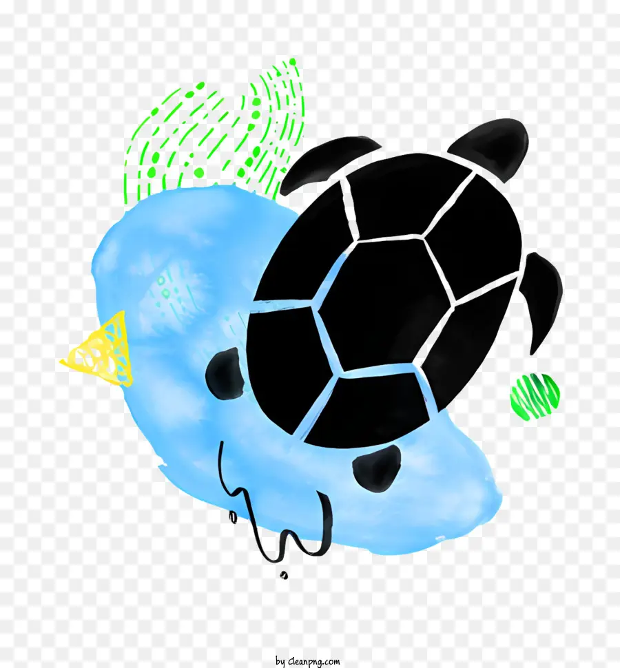 Tartaruga De Desenho，Tartaruga Preta E Azul PNG