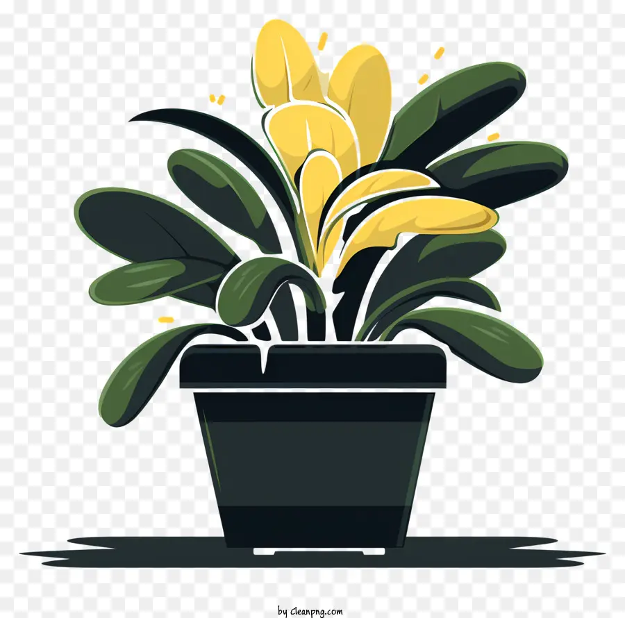 Planta De Vaso，Folhas Amarelas PNG