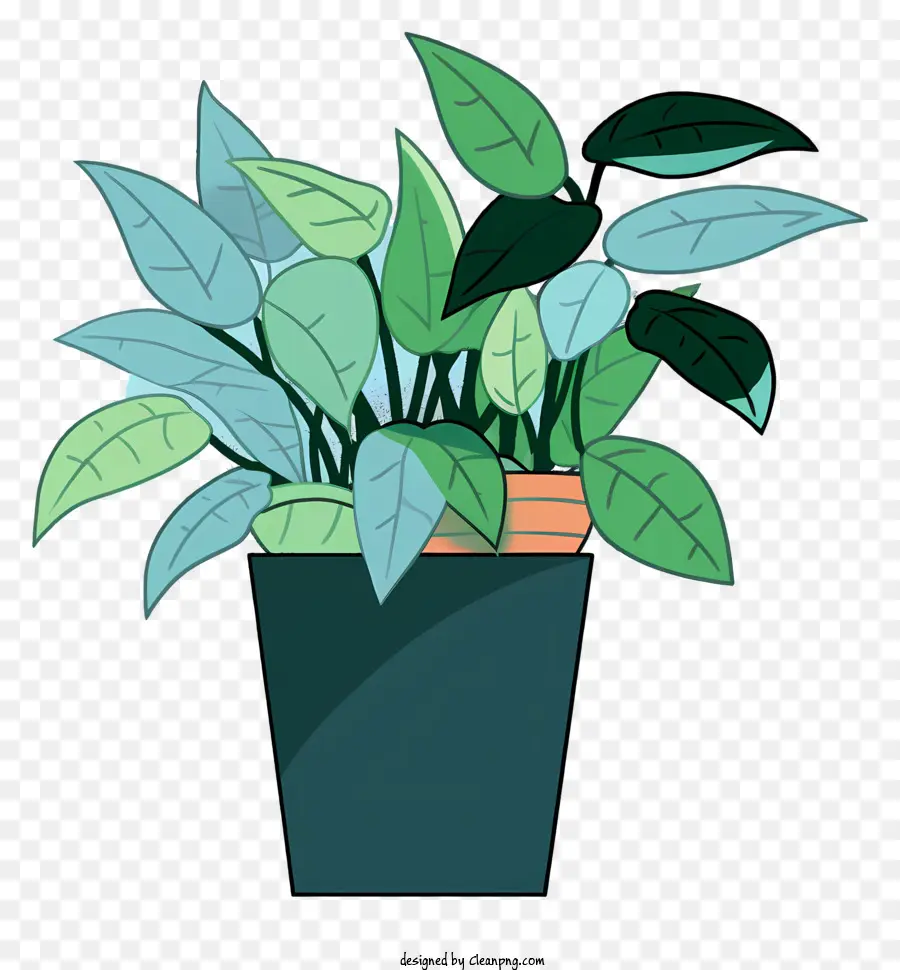 Planta De Vaso，Folhas Verdes PNG