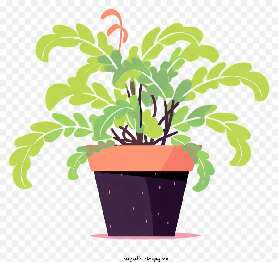 Planta De Vaso，Folhas Verdes PNG