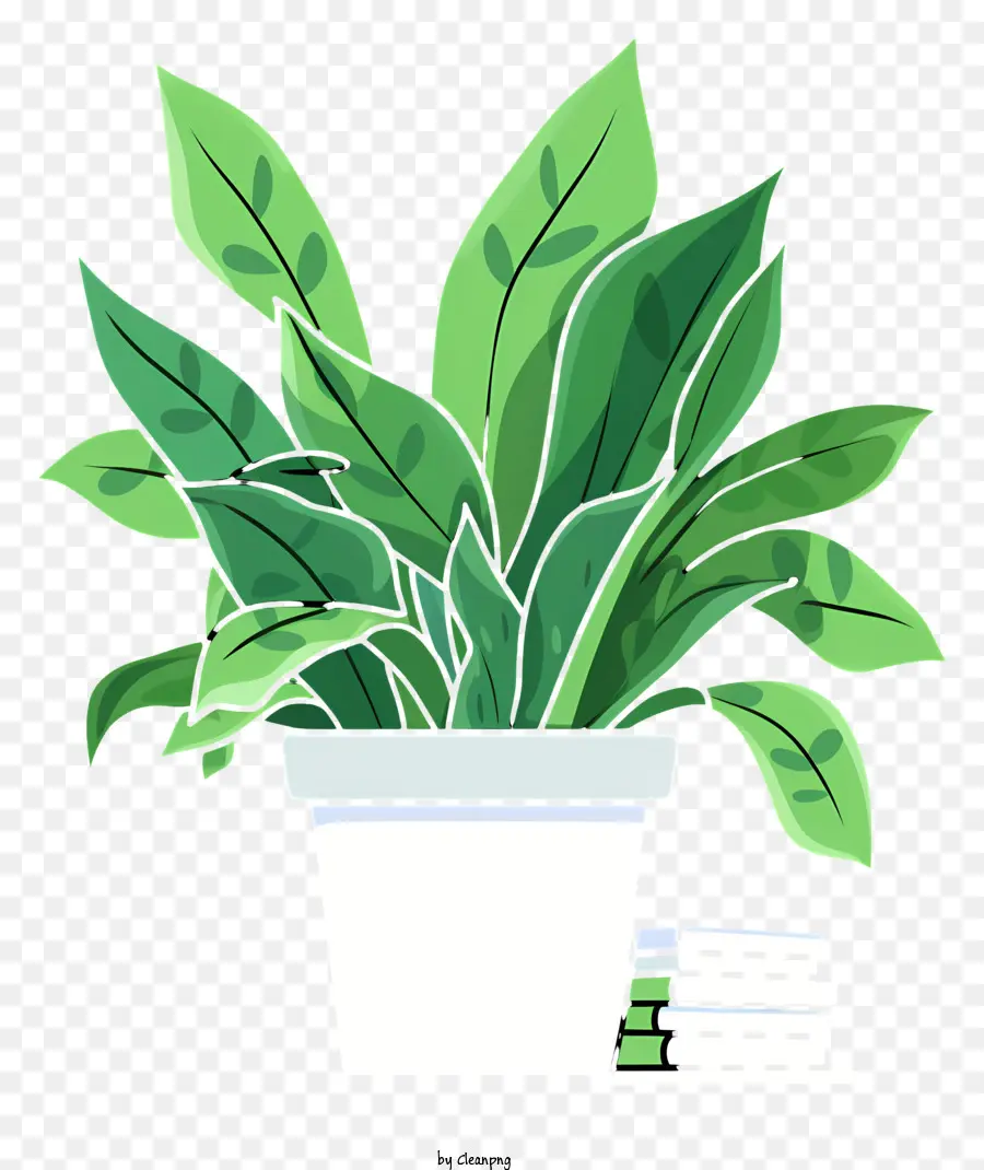 Planta De Vaso，Folhas Verdes PNG