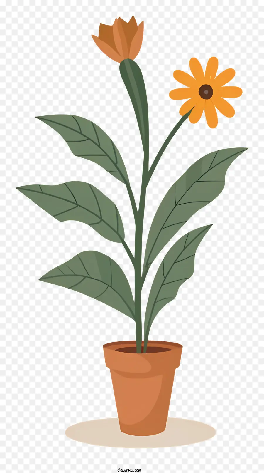 Um Vaso De Planta，Flor PNG