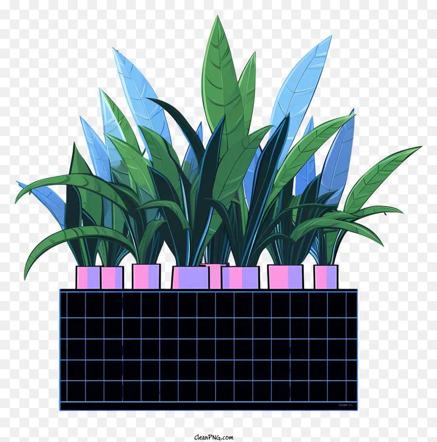 Planta Em Vaso，Vaso Quadrado PNG