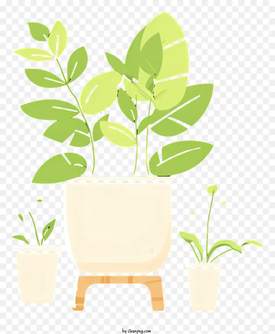 Vasos De Plantas，Significa Plantas PNG