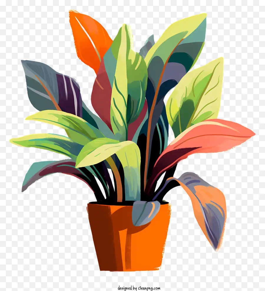 Plantar Em Uma Panela，Colorido Folhas PNG