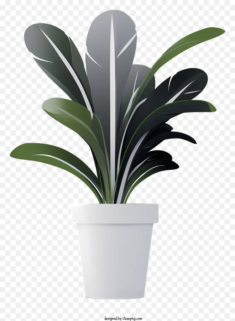 Pote Branco，Planta Em Vaso PNG