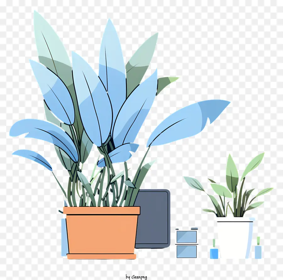 Plantas Em Vasos，Planta Frondosa PNG