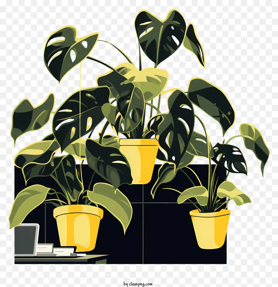 Planta Botânica，Vasos De Plantas PNG