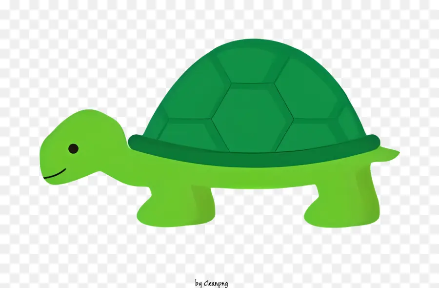 Turtle，Green Shell PNG