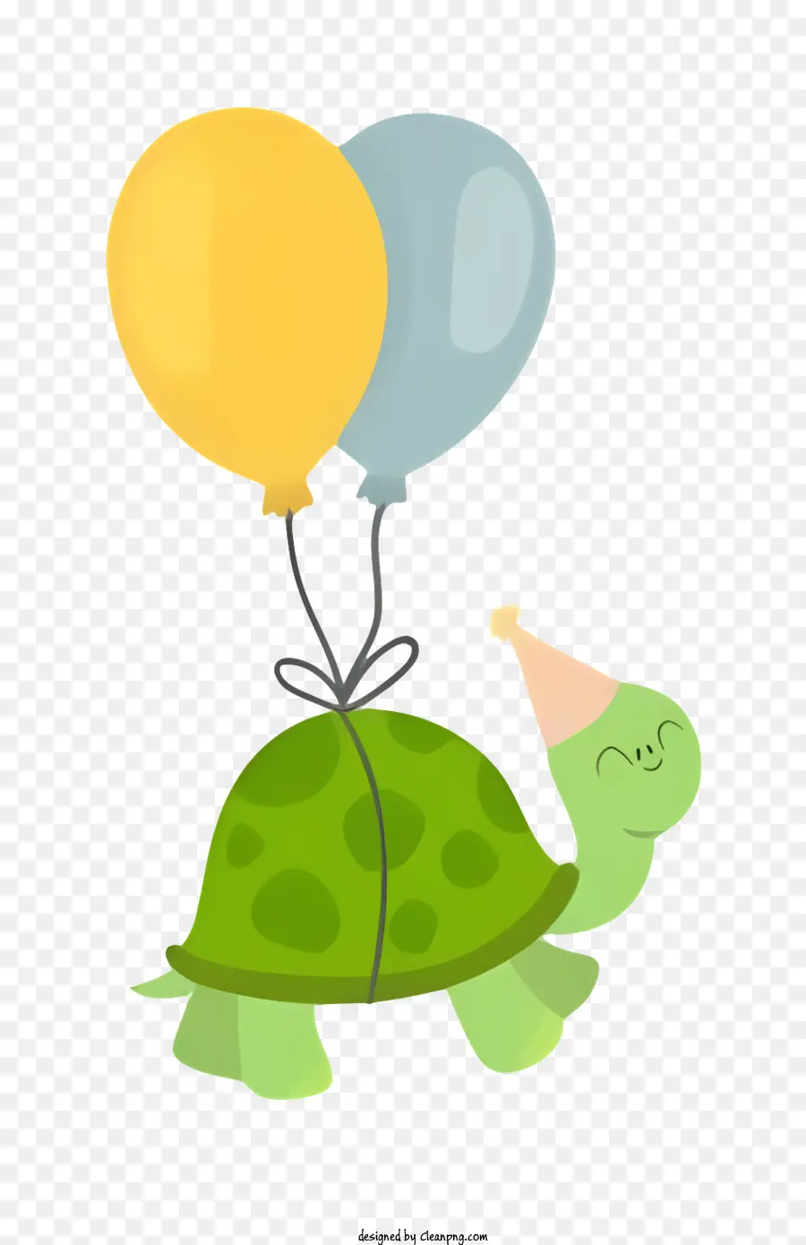 Turtle，Chapéu De Festa PNG