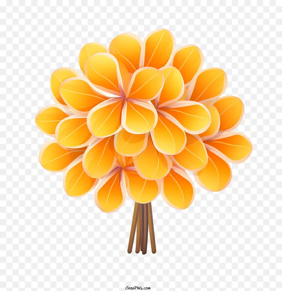 Plumeria Flor，Laranja PNG