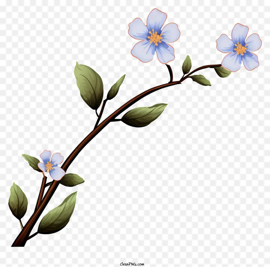 Pequena Flor Branca，Azul Pétalas PNG