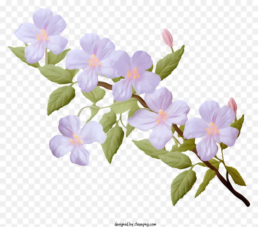 Flores，Flores Cor De Rosa PNG