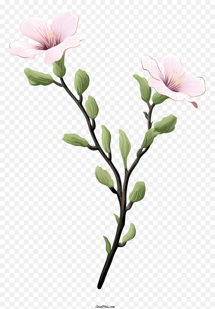 Ramo De árvore，Flores Cor De Rosa PNG