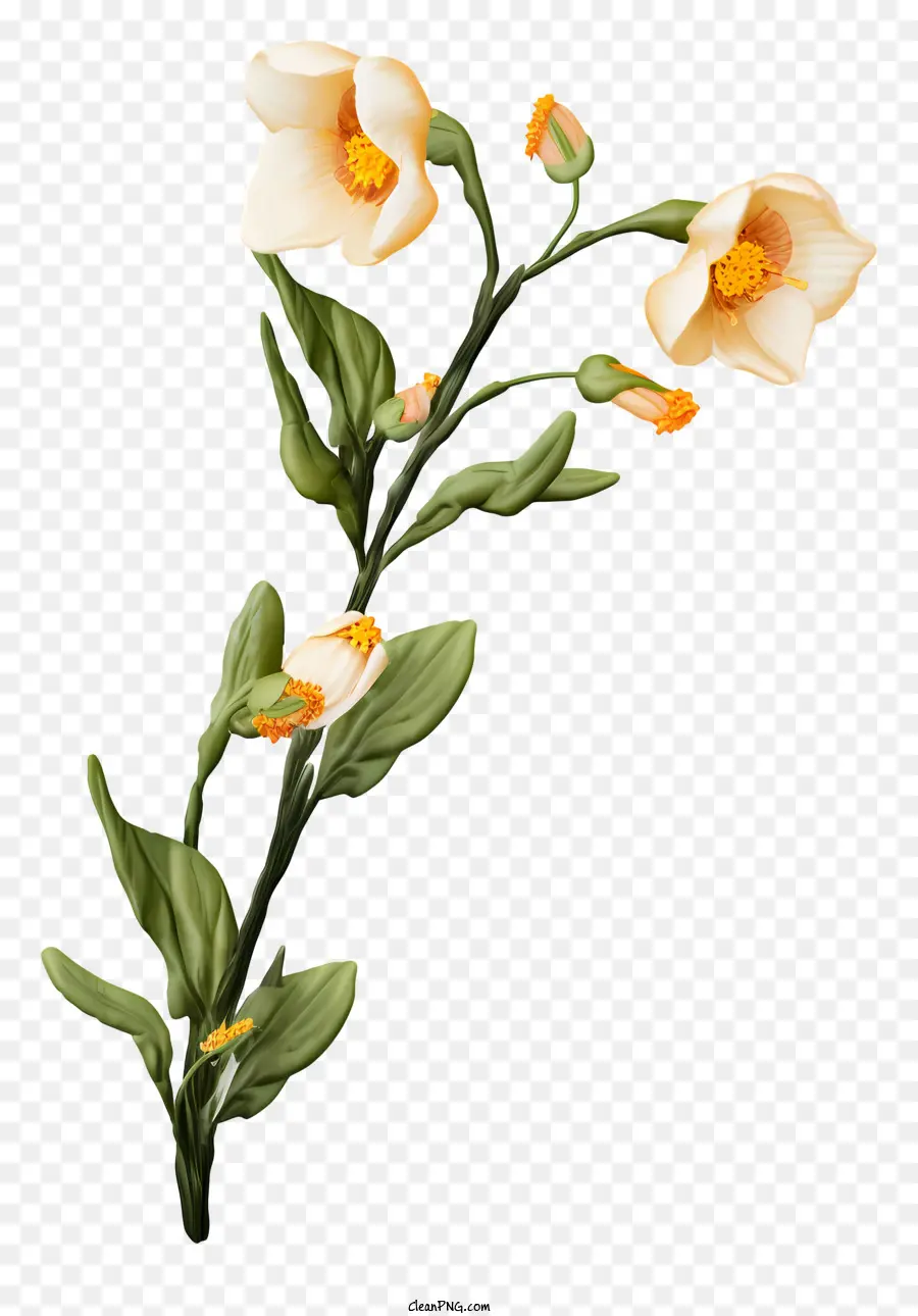 Ramo De Flores，Flores Brancas PNG