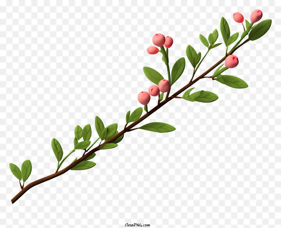 Flores Rosa，Ramo Com Frutas PNG