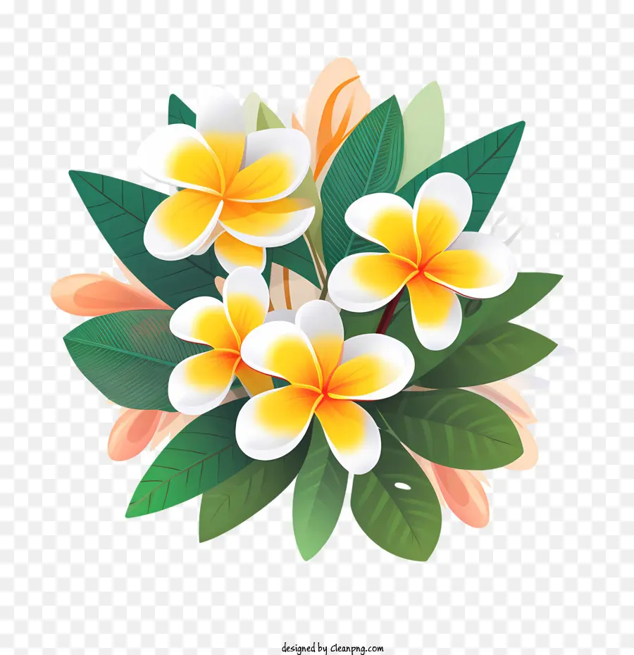 Plumeria Flor，Arranjo Floral PNG