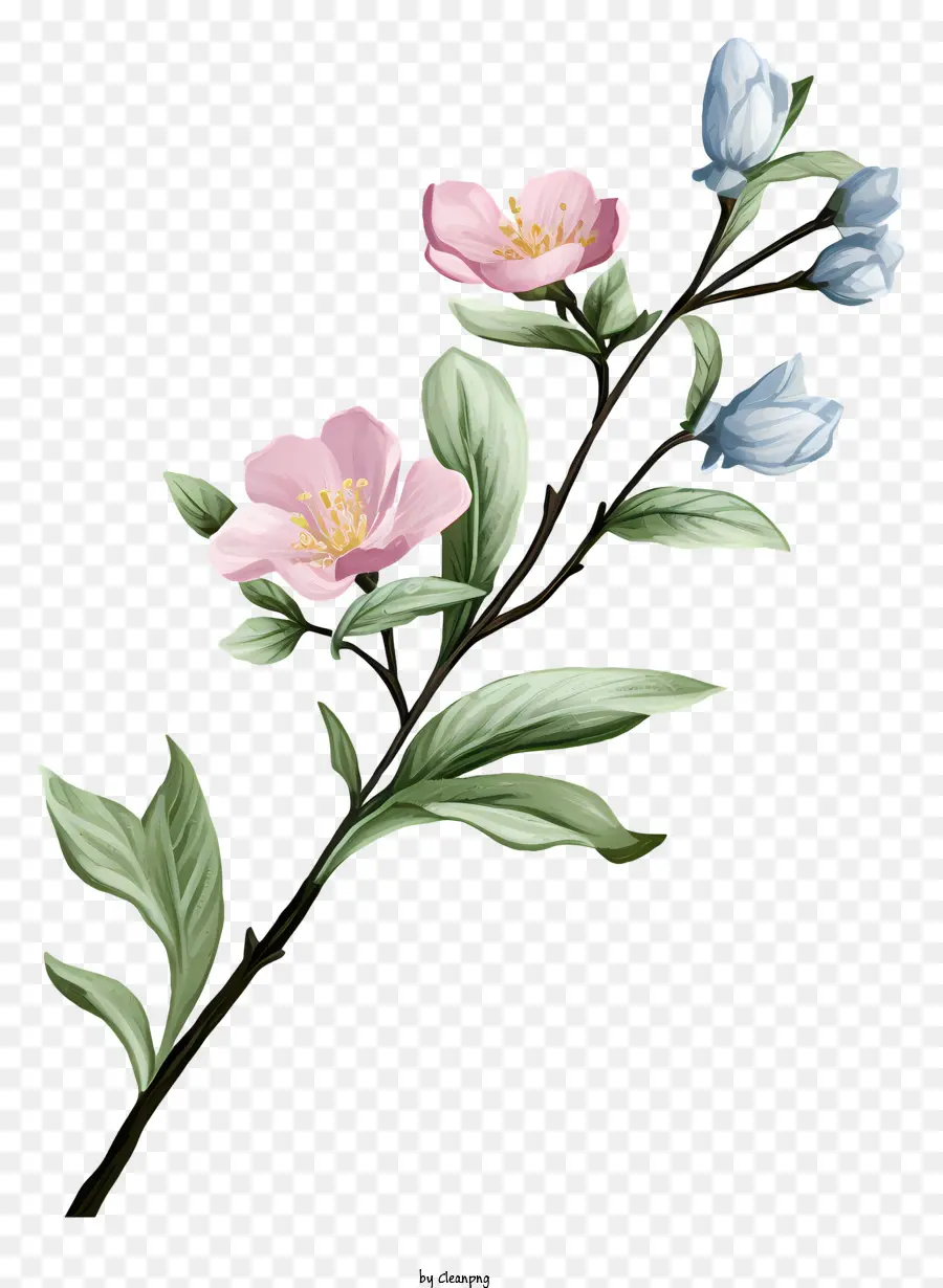 Filial Bend，Flores Cor De Rosa PNG