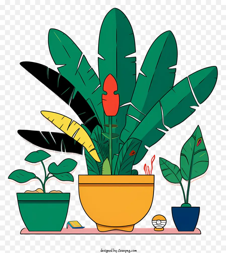 Vasos De Plantas，Plantas Com Folhas Vermelhas PNG