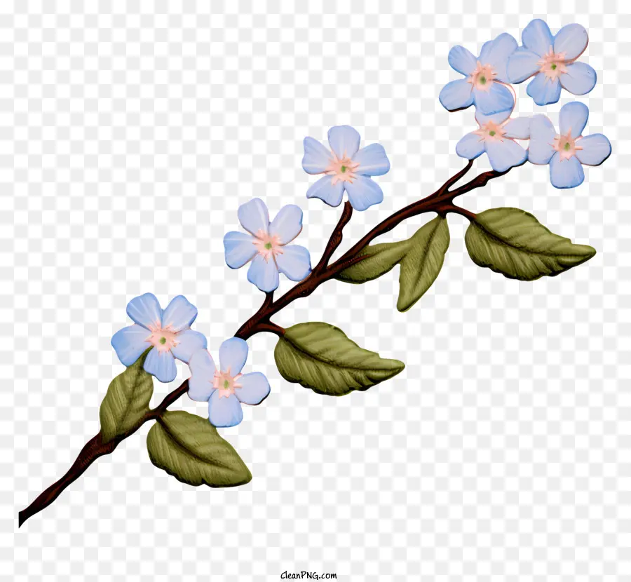 Pequeno Ramo，Pequenas Flores Brancas PNG