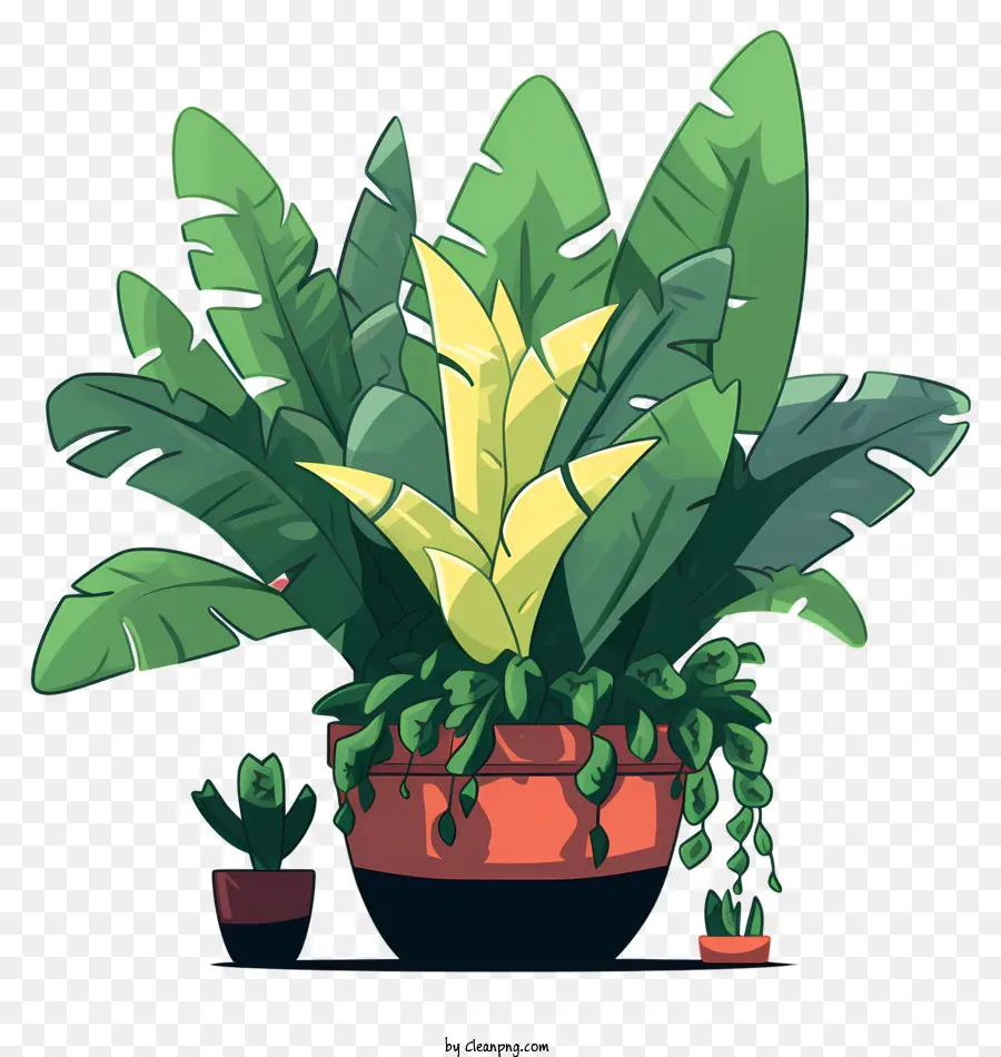 Planta De Vaso，Deixa PNG