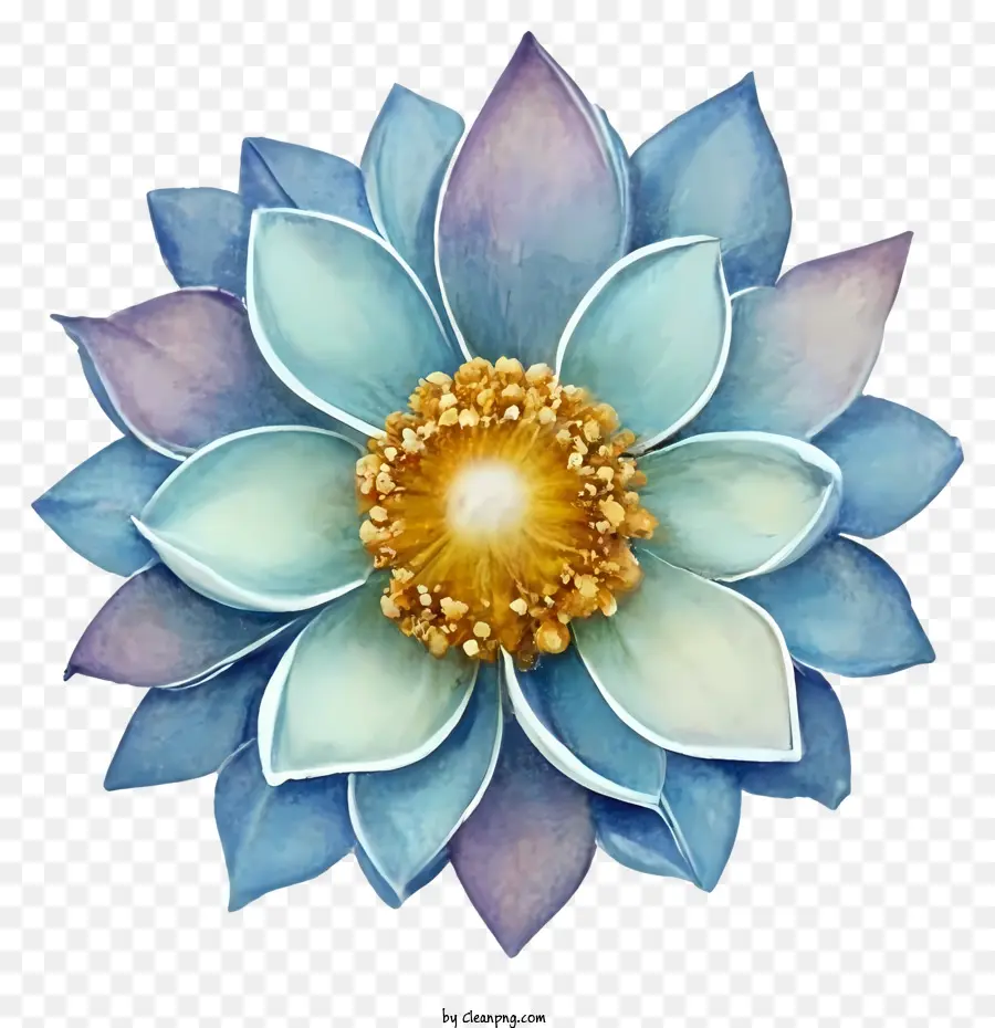 Flor Azul De Lótus，Simbolismo De Flor De Lótus PNG