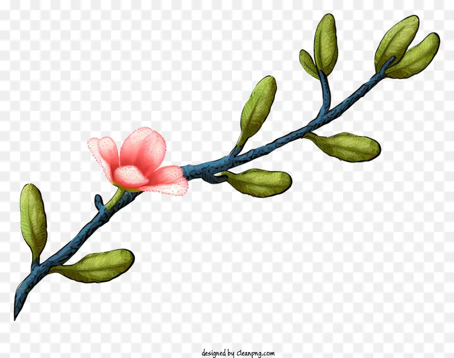 Flor Rosa，Flor No Galho PNG