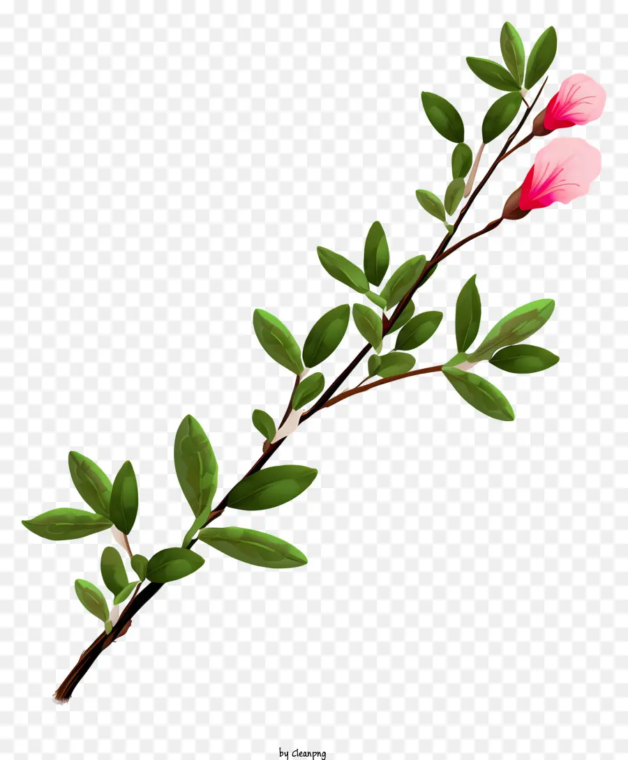 Árvore Da Flor Rosa，Ramo PNG