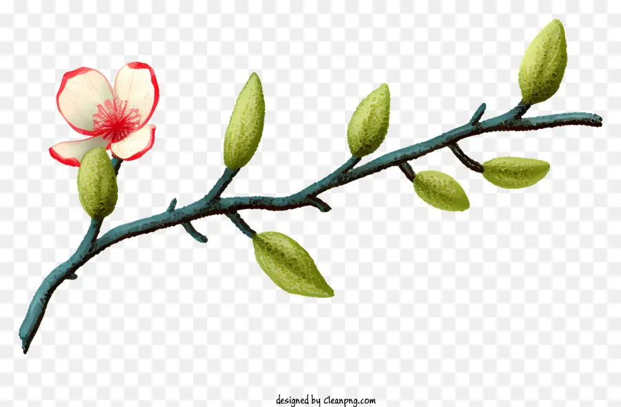 Ramo De árvore，Flores Rosa PNG