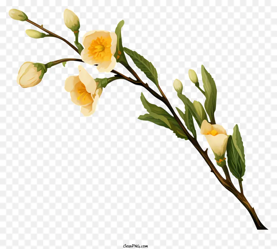 árvore De Flores，Flores Brancas PNG