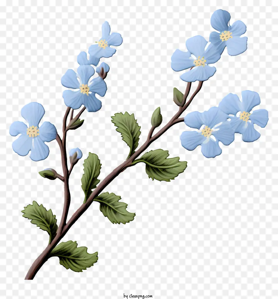 Pequeno Ramo，Flores Azuis PNG