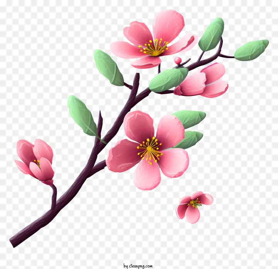 Galho De árvore Com Floração，Flores Cor De Rosa PNG