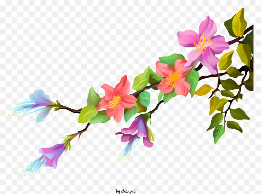 Flor Do Ramo，Flores Coloridas PNG