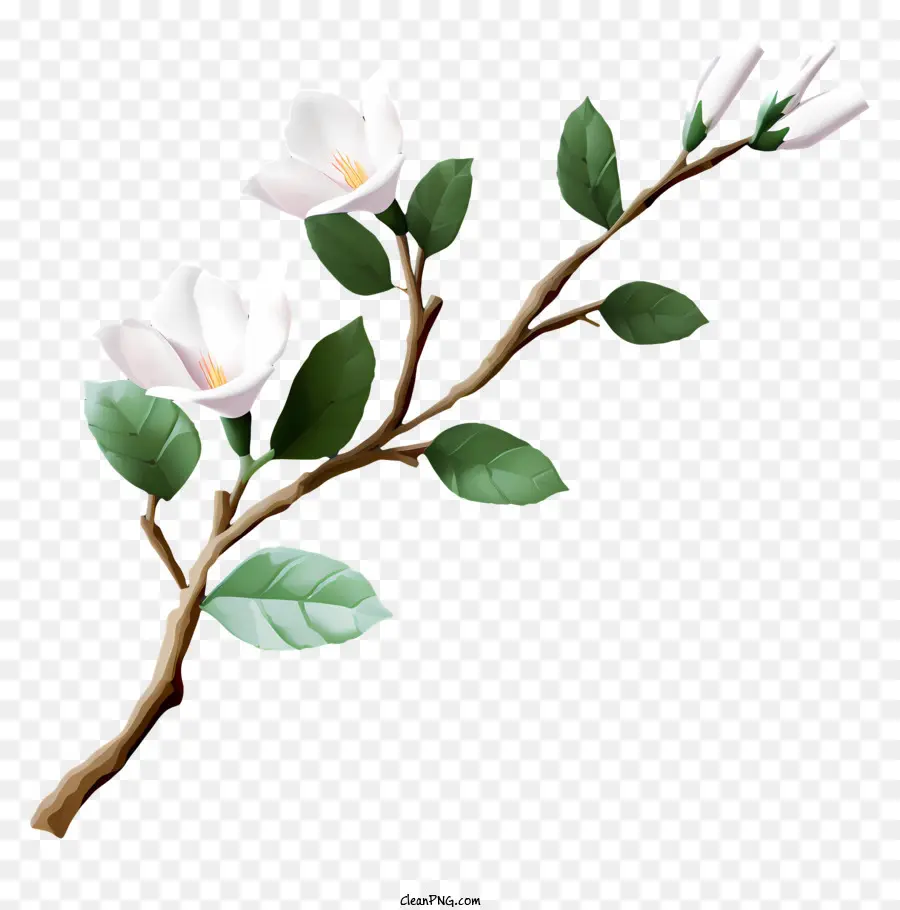 Flores Brancas，Ramo PNG