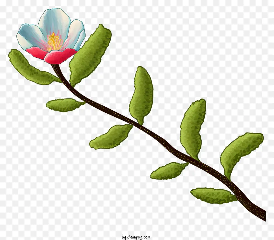 Flor，Ramo De Flor PNG