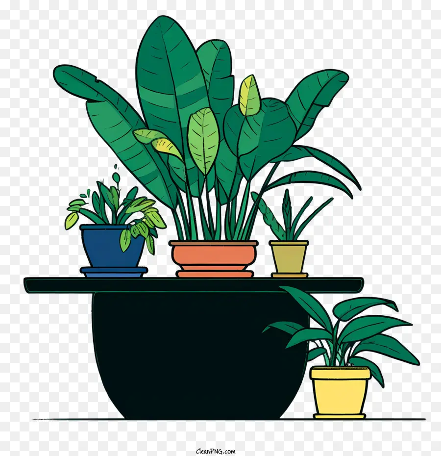 Plantas，Black Mesa PNG