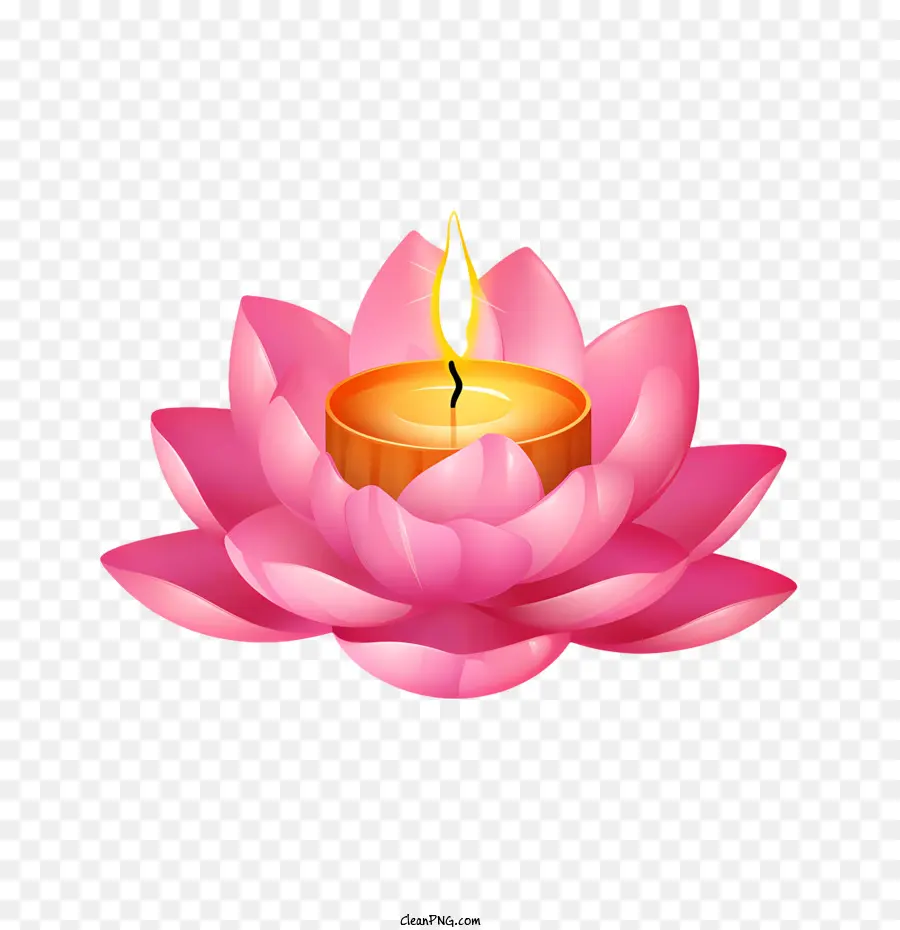 Flor De Lótus De Vela，Lotus PNG