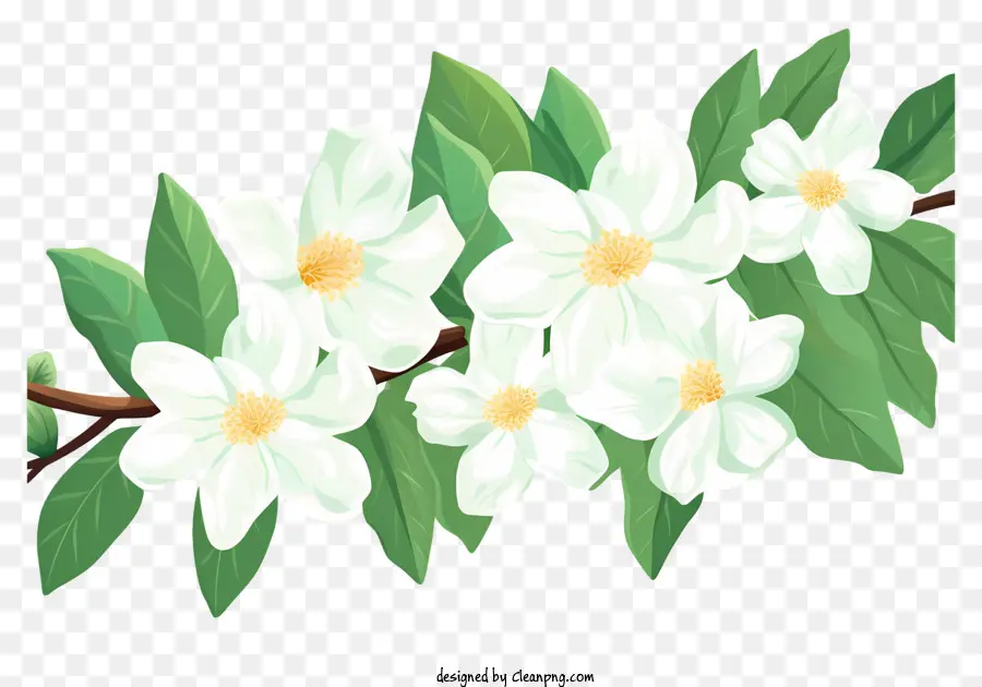 Flores Brancas，Caule Verde PNG