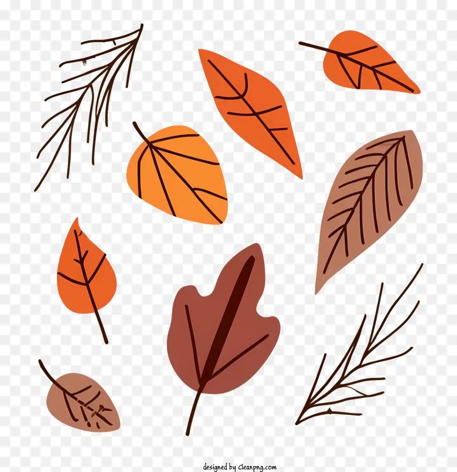 Autumn Leaves，Folhas De Outono PNG